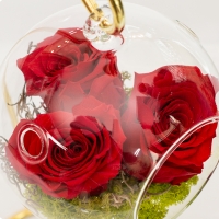 Aranjament cu 3 trandafiri criogenati in bol de sticla pe suport metalic 4
